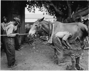 Harmony Community, Putnam County, Georgia. The blacksmith is kept busy on Saturdays. His shop is in . . . - NARA - 521242 photo