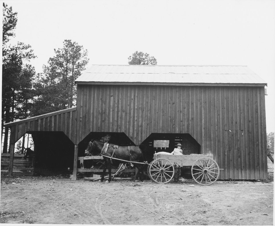 Harmony Community, Putnam County, Georgia.... A Briar Patch farmer unloading purchased grain at hi . . . - NARA - 521441