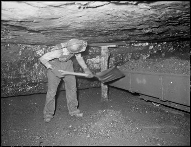Harry Fain, coal loader, loads bug dust which is mixed slate and coal ground by the undercutting machine. He will... - NARA - 541478