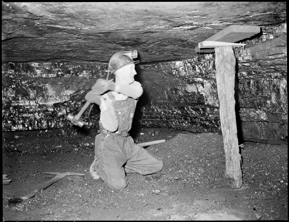 Harry Fain, coal loader, places and secures safety timber close to the face where he will work. Inland Steel Co... - NARA - 541483