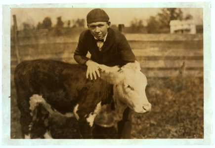 Harry Harper, one of the 4 H Club boys with his registered calf. LOC nclc.04429