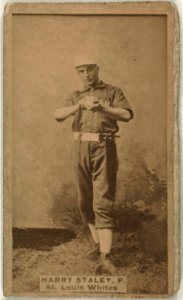 Harry Staley, St. Louis Whites, baseball card portrait LCCN2008675218