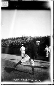 Harry Wolverton, NY A, 1912 LCCN2014690402