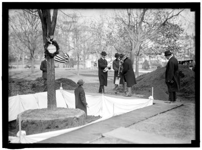 HARTS, WILLIAM W. COL., U.S.A.; MILITARY AIDE TO PRESIDENT WILSON. PLANTING TREE. WILSON LCCN2016865113