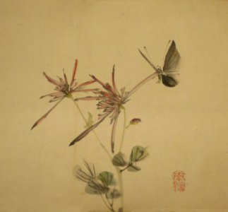 Sketches of Birds and Flowers by Haruki Nanmei, 19th century II