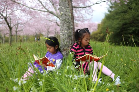 Smart little girl cute kid auckland botanic garden photo