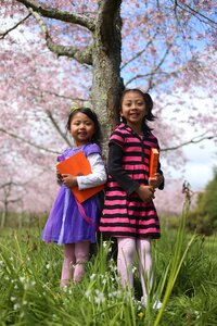 Smart little girl cute kid auckland botanic garden photo