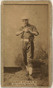 Harry Staley, St. Louis Whites, baseball card portrait LCCN2008675218