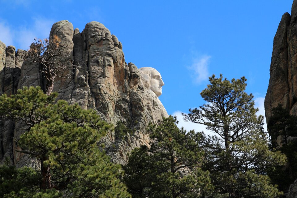 Profile nature rock
