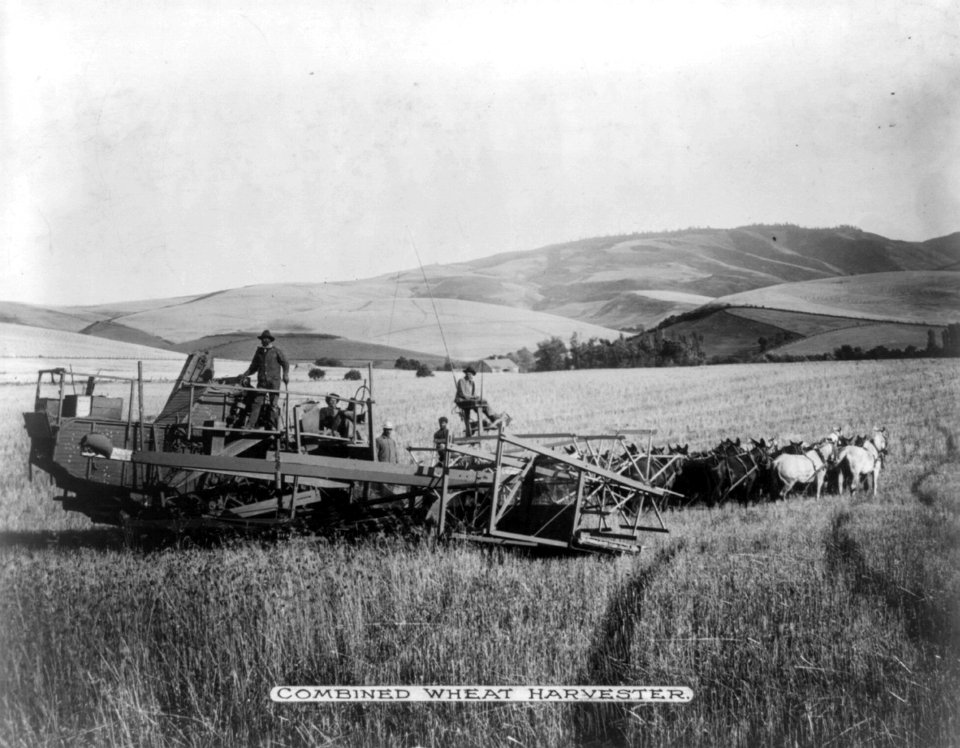 Harvest scene with the combine on Tom Lyon's ranch LCCN2012646386