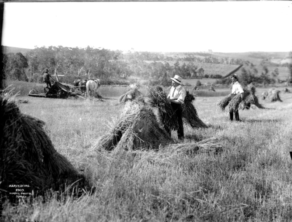 Harvesting from The Powerhouse Museum Collection
