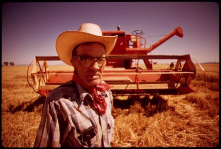 Harvesting-a-palo-verde-valley-wheat-field-on-the-edge-of-the-colorado-river-owner-harlas-prine-has-lived-in-the-area-for-55-of-his-57-years-may-1972 6990305534 o