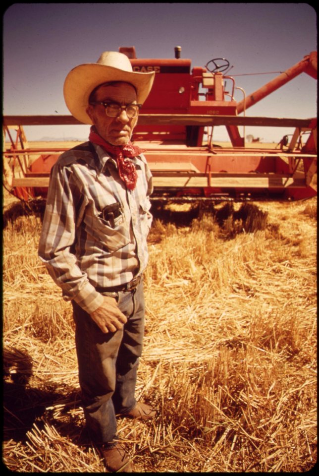 Harvesting-wheat-in-the-palo-verde-valley-may-1972 7136518429 o