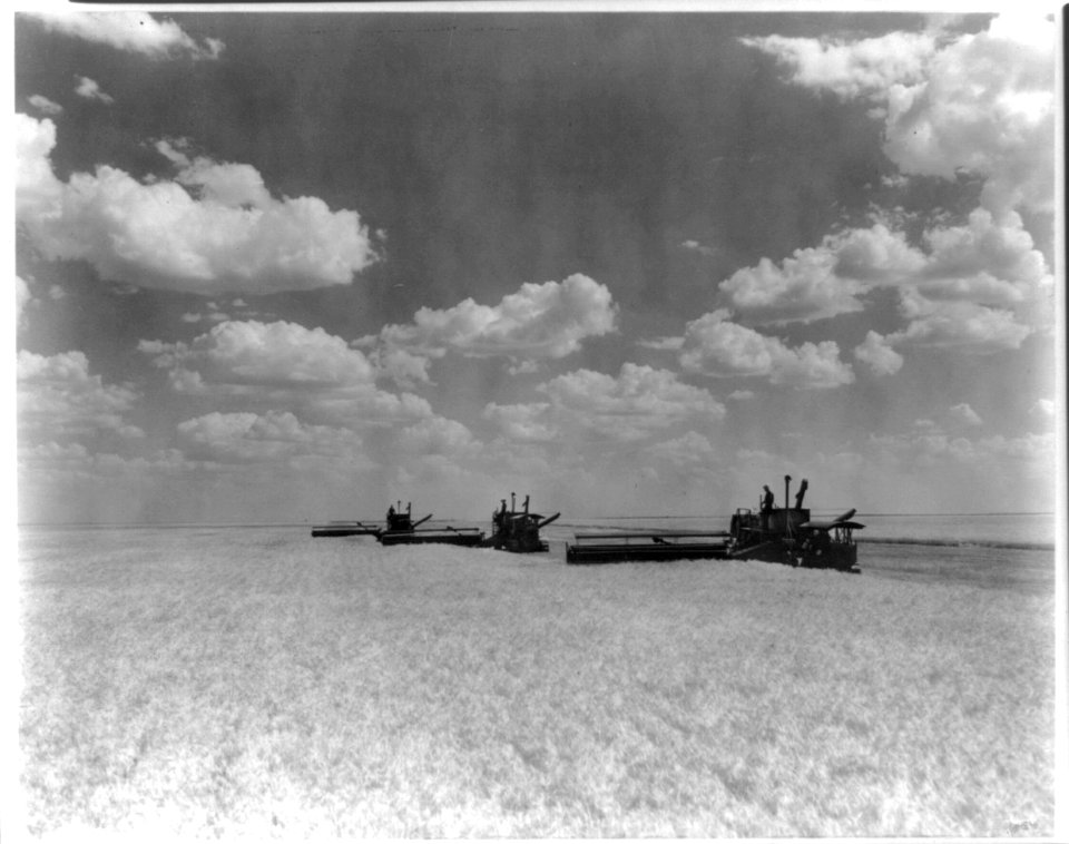 Harvesting wheat in Kansas LCCN2012646378