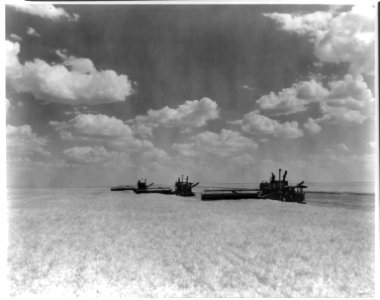 Harvesting wheat in Kansas LCCN2012646378