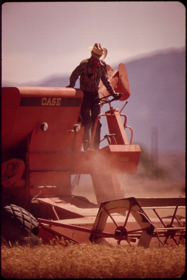 Harvesting-wheat-in-the-palo-verde-valley-200-yards-from-the-colorado-river-may-1972 7152693145 o