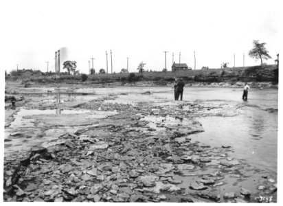Hastings County Archives HC02282 (39973014771)
