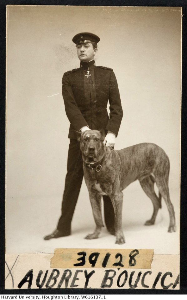Harvard Theatre Collection - Aubrey Boucicault TCS 1.3235