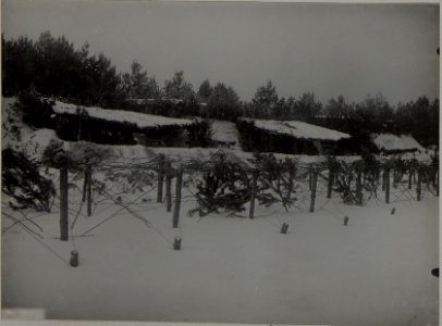 Haubitzenbatterie der 25. Infanteriedivision im Schnee (BildID 15444644)
