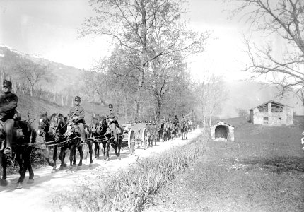 Haubitzen Batterie auf dem Marsch - CH-BAR - 3239542