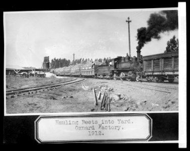 Hauling beets into yard, Oxnard, (California), factory LCCN2016852585