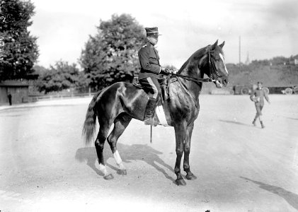 Hauptmann im Generalstab Iselin, Teilnehmer des Pferderennens in Thun - CH-BAR - 3240587