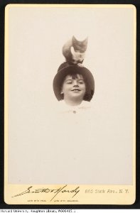 Harvard Theatre Collection - Kenneth Barnes TCS 1.1272