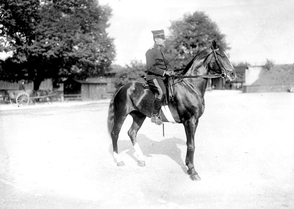 Hauptmann im Generalstab Iselin, Teilnehmer des Pferderennens in Thun - CH-BAR - 3240589