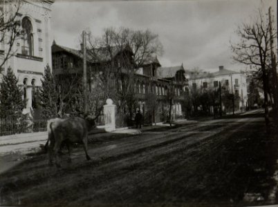 Hauptstraße im rumänischen Dorna Watra (BildID 15457298)