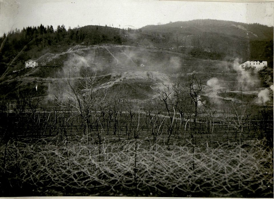 Hauptübung des Sturmkurses in Levico, Explosionen von Handgranaten und Minen (BildID 15622934)