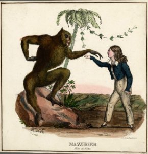 Harvard Theatre Collection - Mazurier, rôle de Jocko TCS 50