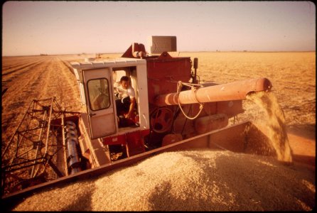 Harvesting-barley-grown-in-the-imperial-valley-may-1972 6990426046 o