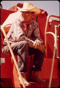 Harvesting-wheat-in-the-palo-verde-valley-200-yards-from-the-colorado-river-may-1972 7006599716 o