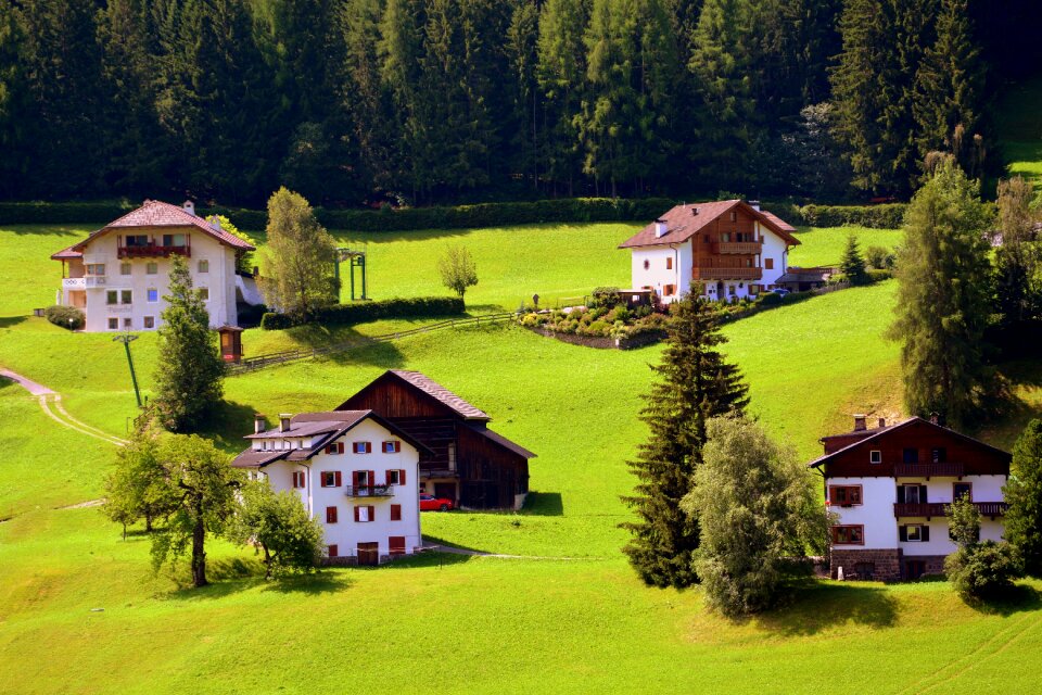 Green nature houses