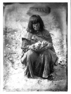 Havasupai Indian woman weaving a basket, ca.1899 (CHS-3786)