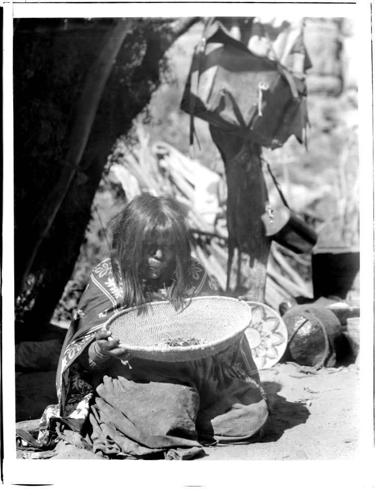 Havasupai Indian woman, Chick-a-pan-a-gie's wife, parching corn in a basket, 1898 (CHS-3785)