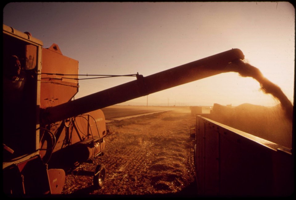 Harvesting-barley-grown-in-the-imperial-valley-may-1972 7006531952 o