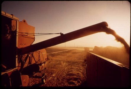 Harvesting-barley-grown-in-the-imperial-valley-may-1972 7006531952 o