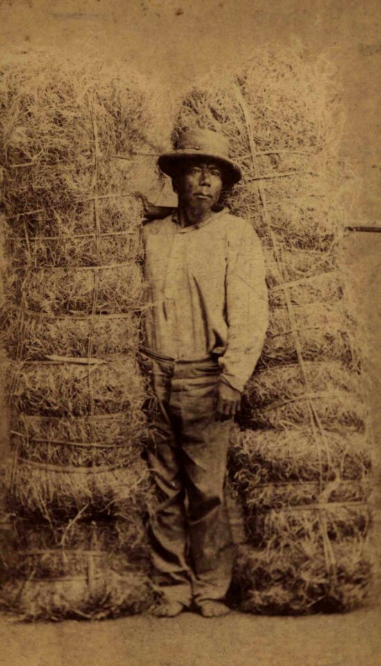 Hawaiian grass peddler, photograph by H. L. Chase, Mission Houses Museum Archives