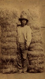 Hawaiian grass peddler, photograph by H. L. Chase, Mission Houses Museum Archives