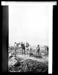 Hawaiian Islands. General views LCCN2016824524