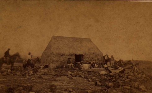 Hawaiian House and People Eating Poi, photograph by H. L. Chase, Mission Houses Museum Archives