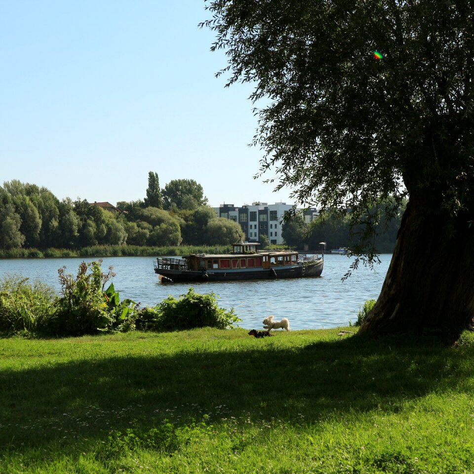 Summer capital boat