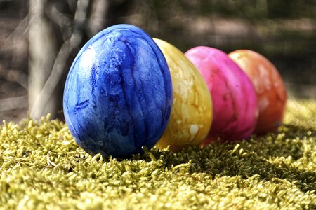 Easter egg egg decoration photo