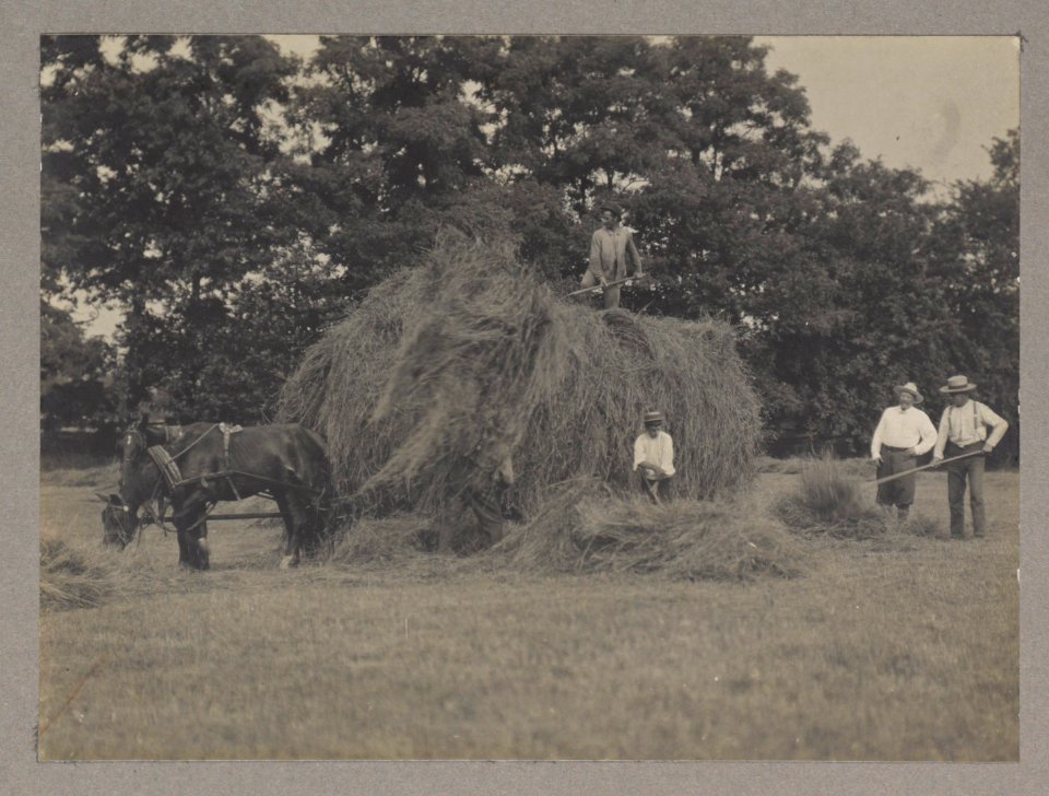 Haying LCCN2013651274