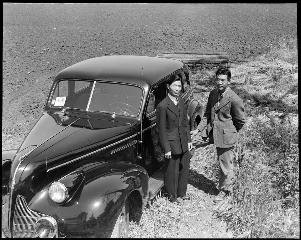 Hayward, Califorinia. The Negi family, operators of a forty-acre, intensively cultivated, leased tr . . . - NARA - 537797