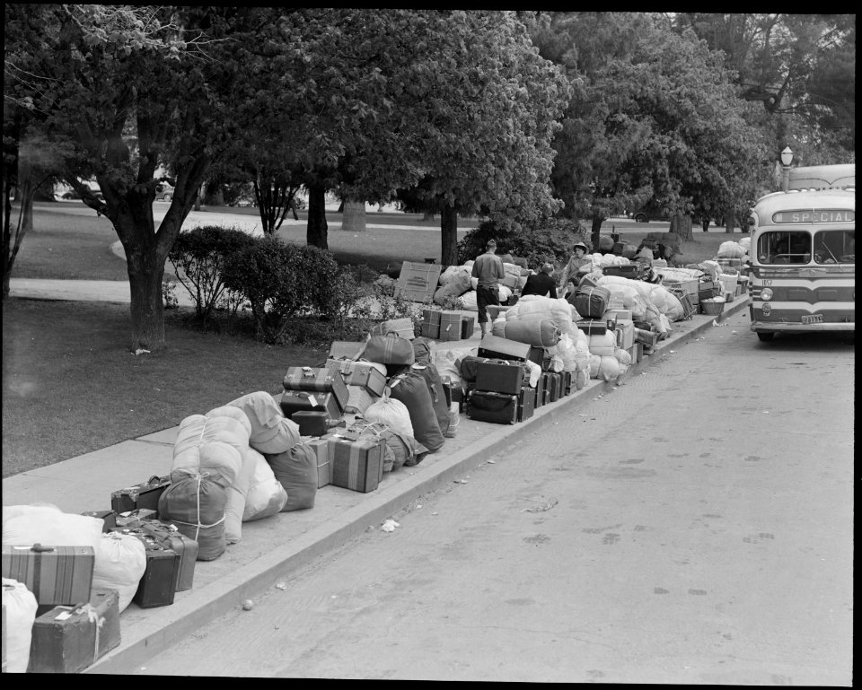 Hayward, California. Baggage of evacuees of Japanese ancestry stacked at public park as evacuation . . . - NARA - 537499