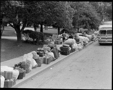 Hayward, California. Baggage of evacuees of Japanese ancestry stacked at public park as evacuation . . . - NARA - 537499