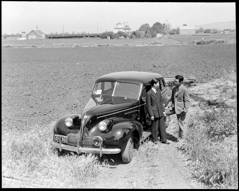 Hayward, California. Negi family, operators of a forty-acre leased truck farm, complete arrangement . . . - NARA - 537799