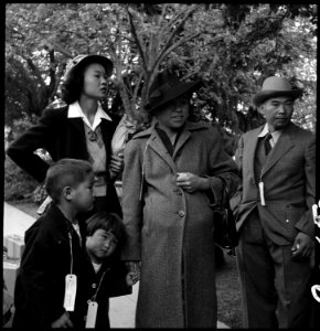 Hayward, California. This family is awaiting evacuation bus. Each person carries an identification . . - NARA - 537502